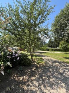 Chalet au calme avec terrasse sur belle propriété - Saint-Denis-sur-Ouanne - 1