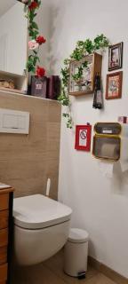 Camping im Igluzelt im Privatgarten mit Komfort Schlüchtern Main-Kinzig - 1