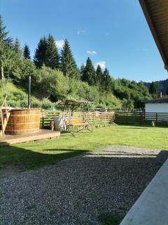 BUKLAND Bucovina - Frumosu - 6