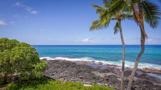 Kona Nalu 305 - Kailua-Kona - 2