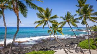 Kona Nalu 305 - Kailua-Kona - 3