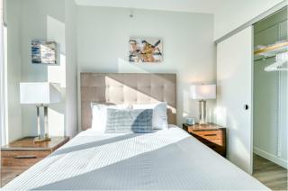 Luxury Apt Near TD Garden - 6