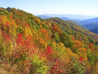 Gatehouse Condo By Beyond Expectations W Views - 6