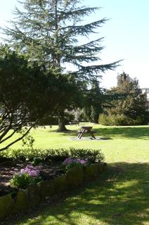 Springs Mittagong - Mittagong - 4
