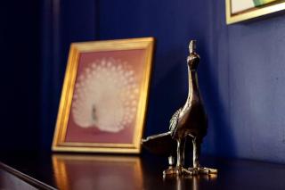 The Peacock - Artsy East Hill Getaway - Pensacola - 6