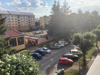 Garsoniera U lesoparku - 1