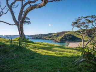 Elliot Bay - Hilltop Flat - Rawhiti - 7