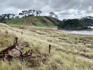 Elliot Bay - Hilltop Cottage - Rawhiti - 7