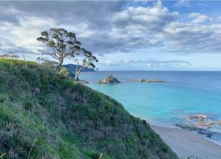 Elliot Bay - Hilltop Cottage - Rawhiti - 5