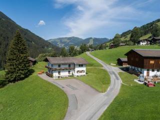 Schwoichbauer II - Saalbach-Hinterglemm - 0