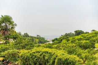 gyulpang stay - Seogwipo - 6