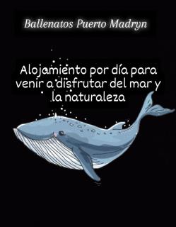 Ballenatos Madryn - Puerto Madryn - 4