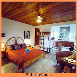 Orosi Lodge - Orosí - 6