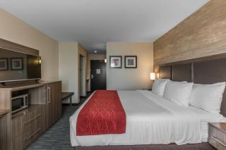 Comfort Inn & Suites Airport North - Calgary - 9