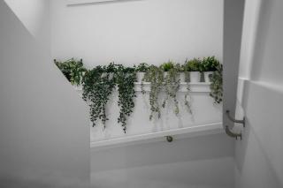 Andrica House - Your Southern Highlands Retreat! - Mittagong - 8
