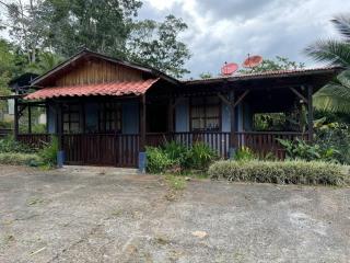 Quinta Herrera - Ánimas - 0