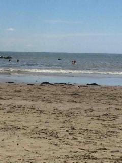 Apartamento muito gostoso a 20 m da Praia - 1