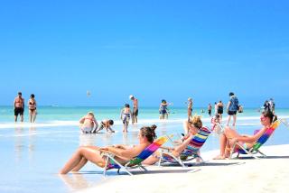 Newly remodeled 8-steps to sand path of Beach! - Siesta Key - 8
