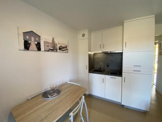 Appartement avec WIFI et Animaux Acceptés, Proche des Thermes à La Roche-Posay - FR-1-541-113 - La Roche-Posay - 0