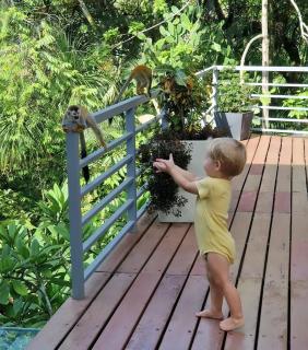 luxury contemporary jungle villa - Quepos - 0