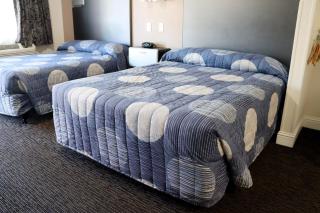 Driftwood - Santa Clara - 9