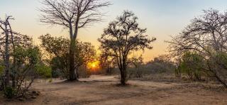 Kusudalweni Safari Lodge and Spa - Guernsey Nature Reserve - 4