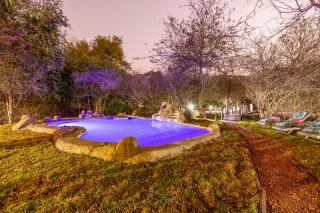 Kusudalweni Safari Lodge and Spa - Guernsey Nature Reserve - 8