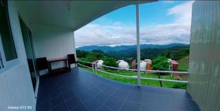 ไร่สายหมอก - 7