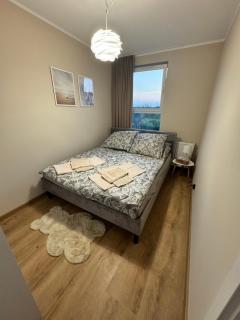 Apartamenty RAJ przy Onkologii - Bydgoszcz - 7