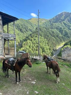 Tamazi guest house - Adishi - 2