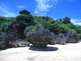 小浜島 135号棟 - Kohama - 5
