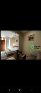 Apartmani Central 2.0 & Free parking - Vrnjačka Banja - 8