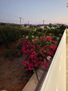 kiki and cocos beach house - Theologos - 1