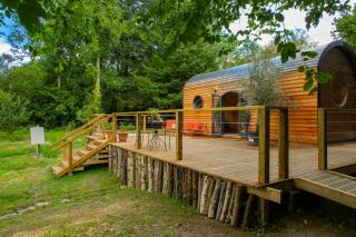 Woodland Lodge Aberporth - Troedyraur - 0