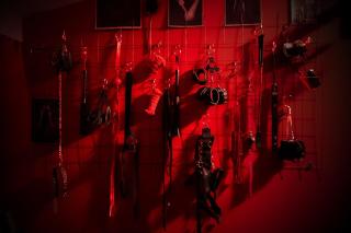 Red Palace Apartament BDSM - Bydgoszcz - 6
