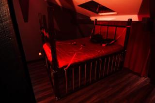 Red Palace Apartament BDSM - Bydgoszcz - 5