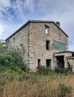 Apartment Olive Istra - 7