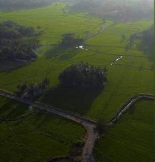Heal Hive Homestay - Palakkad - 6