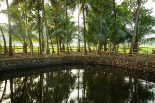 Heal Hive Homestay - Palakkad - 2