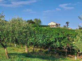 Agriturismo Riva Beata - Cavaso del Tomba - 8
