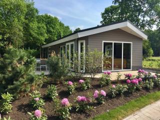TopParken – Bospark Ede - Ede - 2