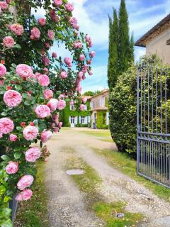 Hôtel Château de Didonne - Royan - 8