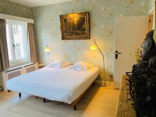 CitytripGent Apartment - Gand - 5