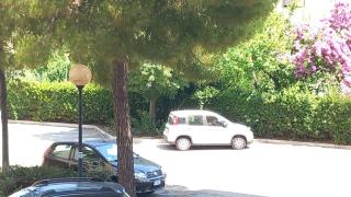 Casa Vacanze Pet Friendly - Montesilvano - 9