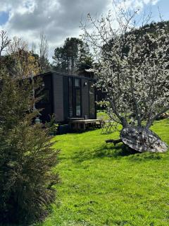 Golden Valley Retreat by Tiny Away - Waihi - 8