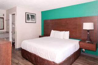 Rodeway Inn Augusta North Washington Road - 6