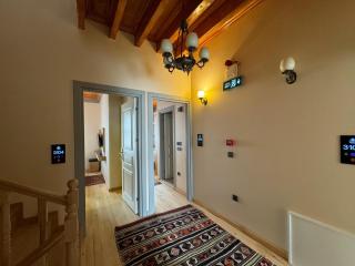 Abelia Mansion Hotel - Istanbul - 1