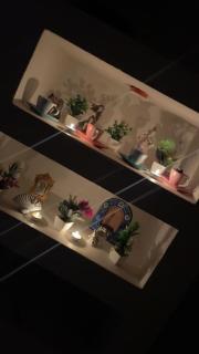 Appartement - 5