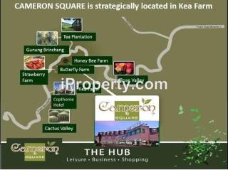 Cameron Nova Highlands Resorts - 6