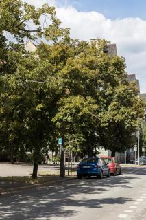 VildaVibes - Poznań - 8